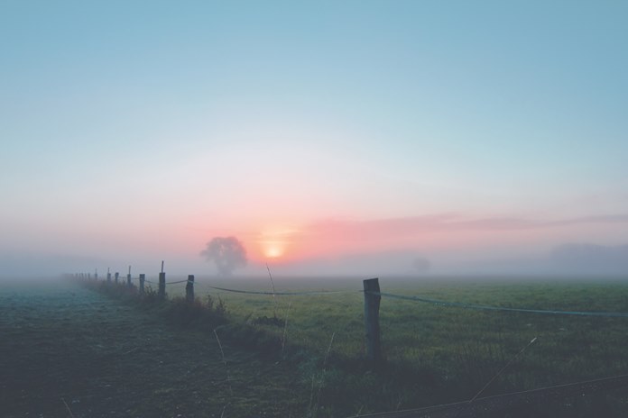 Šiandien Lietuvoje daug kur nedidelis lietus, dulksna