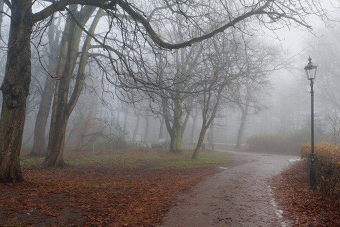 Šiandien vakarinėje šalies pusėje nedidelis lietus, dulksna