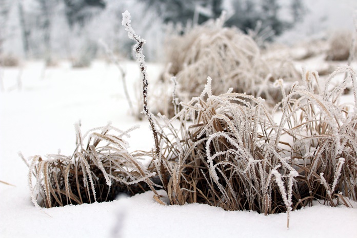 ORAI: Ketvirtadienio dieną pasnigs, vyraus nedidelis sniegas